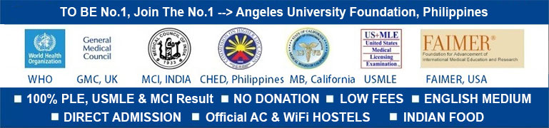 angeles university foundation